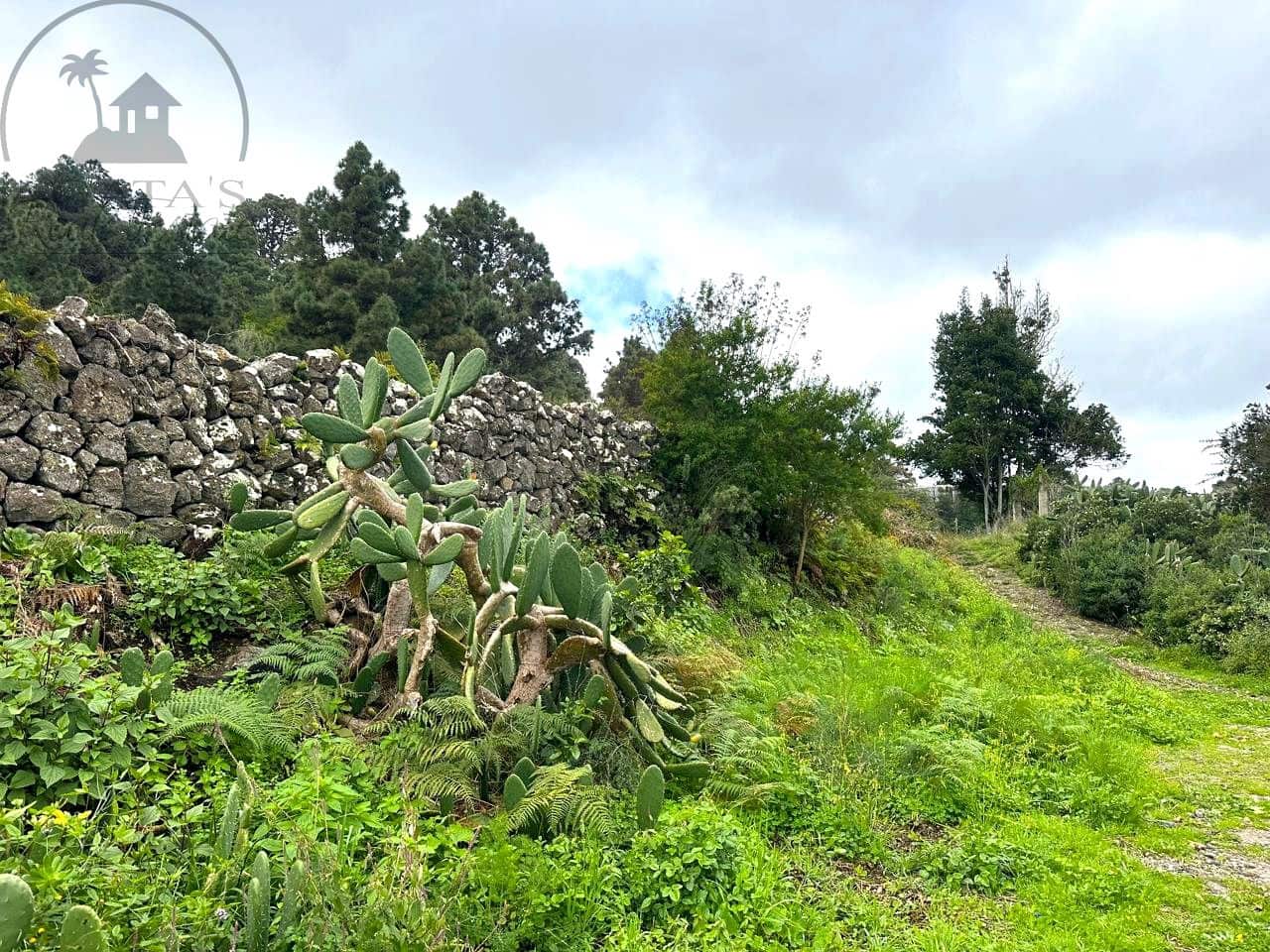 Mark till salu i La Guancha - 129 000 € (Ref: 9575458)