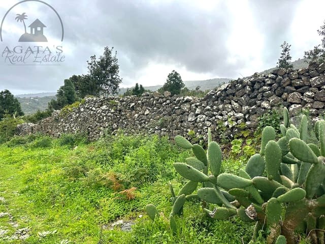 Mark till salu i La Guancha - 129 000 € (Ref: 9575458)