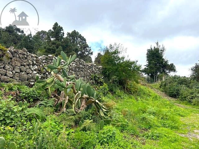 Mark till salu i La Guancha - 129 000 € (Ref: 9575458)