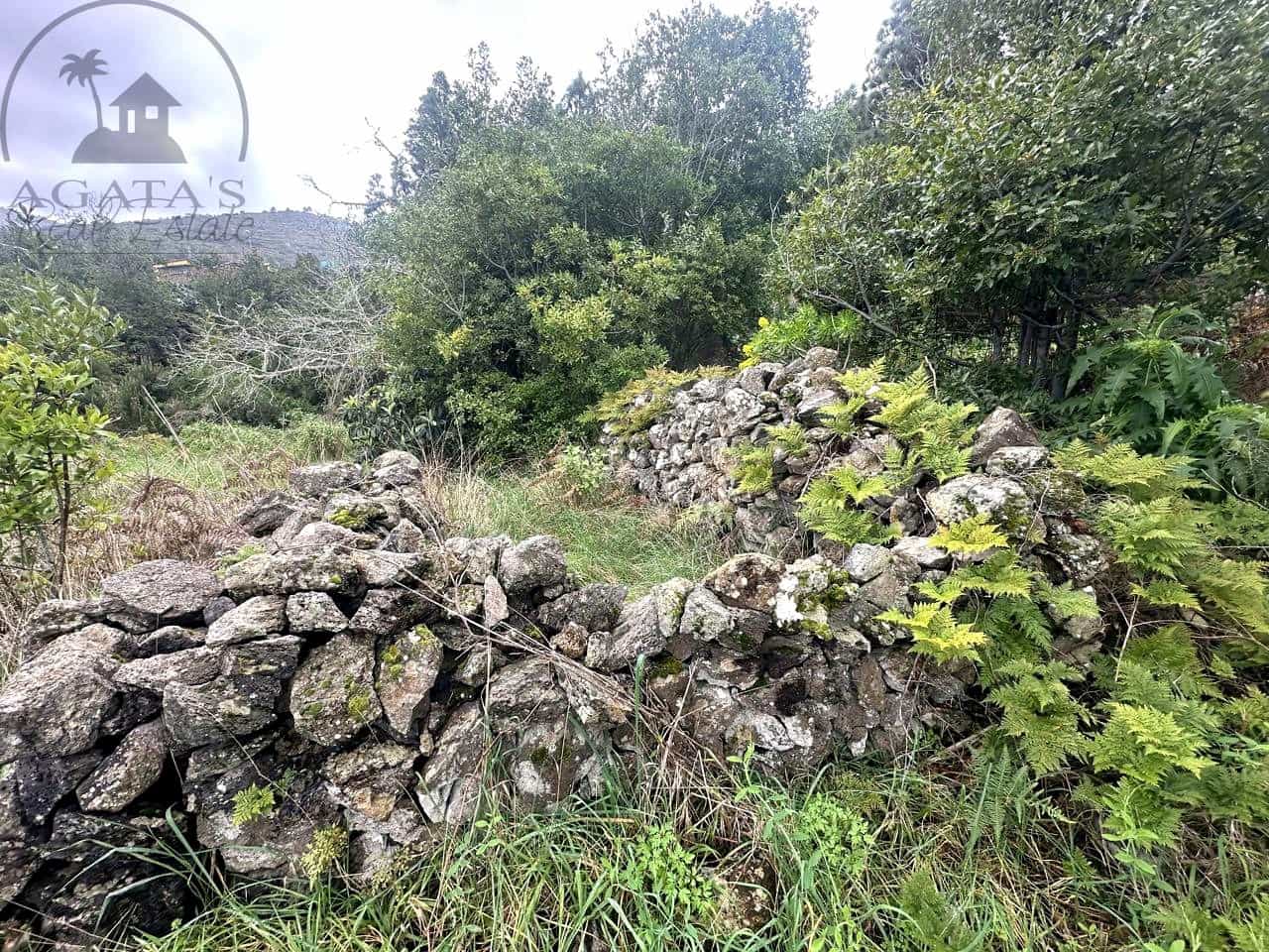 Mark till salu i La Guancha - 129 000 € (Ref: 9575458)