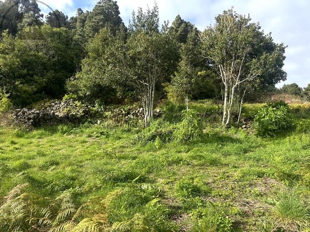 Mark till salu i La Guancha - 129 000 € (Ref: 9575458)