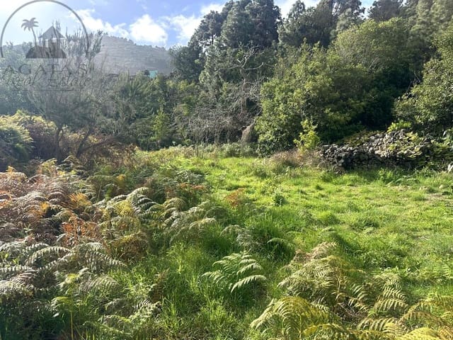 Mark till salu i La Guancha - 129 000 € (Ref: 9575458)