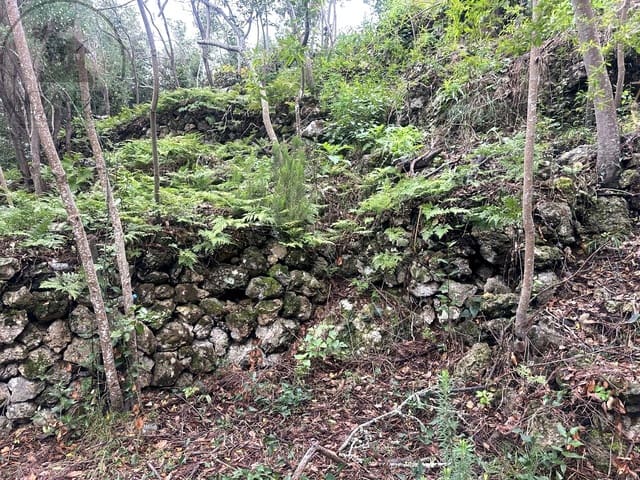 Mark till salu i La Guancha - 129 000 € (Ref: 9575458)