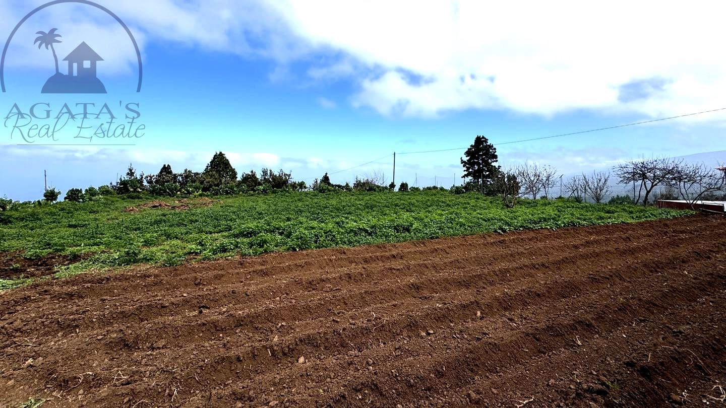 2 Zimmer Finca/Landgut zu verkaufen in Icod de los Vinos - 160.000 € (Ref: 9607028)