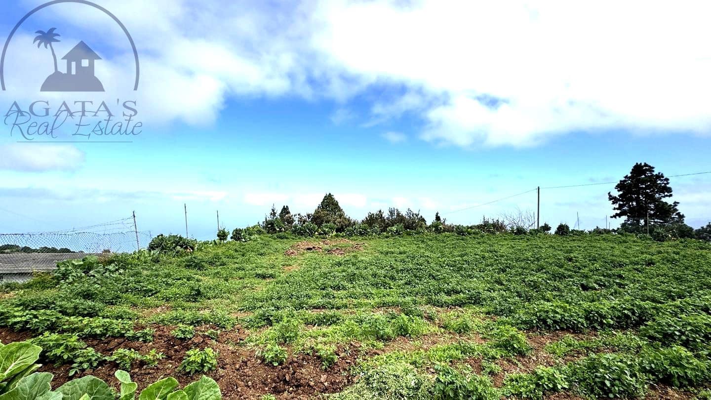 2 Zimmer Finca/Landgut zu verkaufen in Icod de los Vinos - 160.000 € (Ref: 9607028)