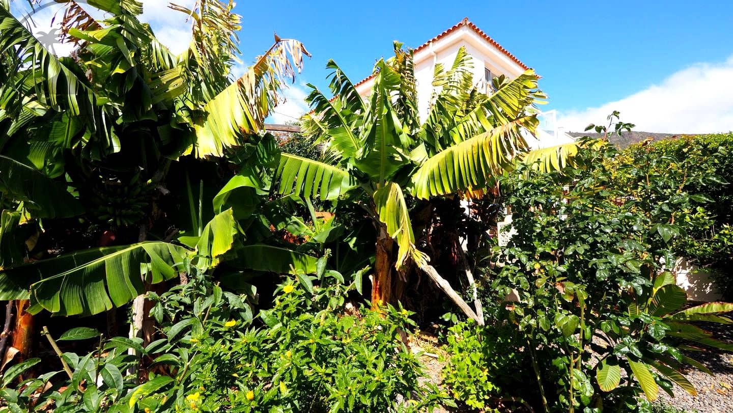 3 bedroom Villa for sale in Candelaria with pool - € 585,000 (Ref: 9658076)