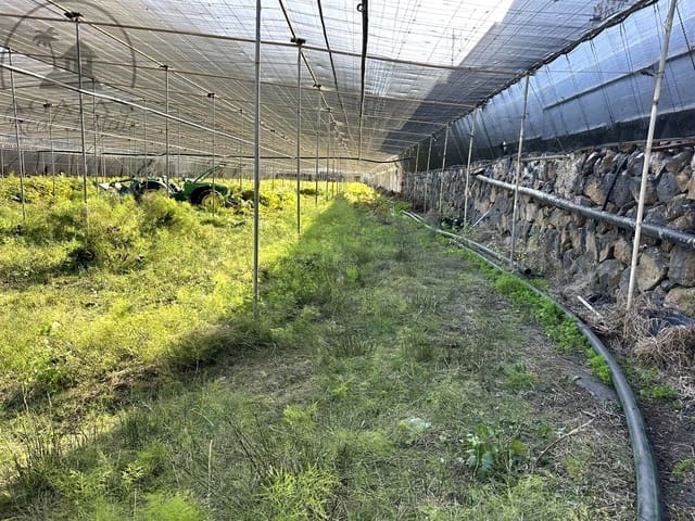 Teren niezagospodarowany na sprzedaż w Buenavista del Norte - 119 000 € (Ref: 9676700)