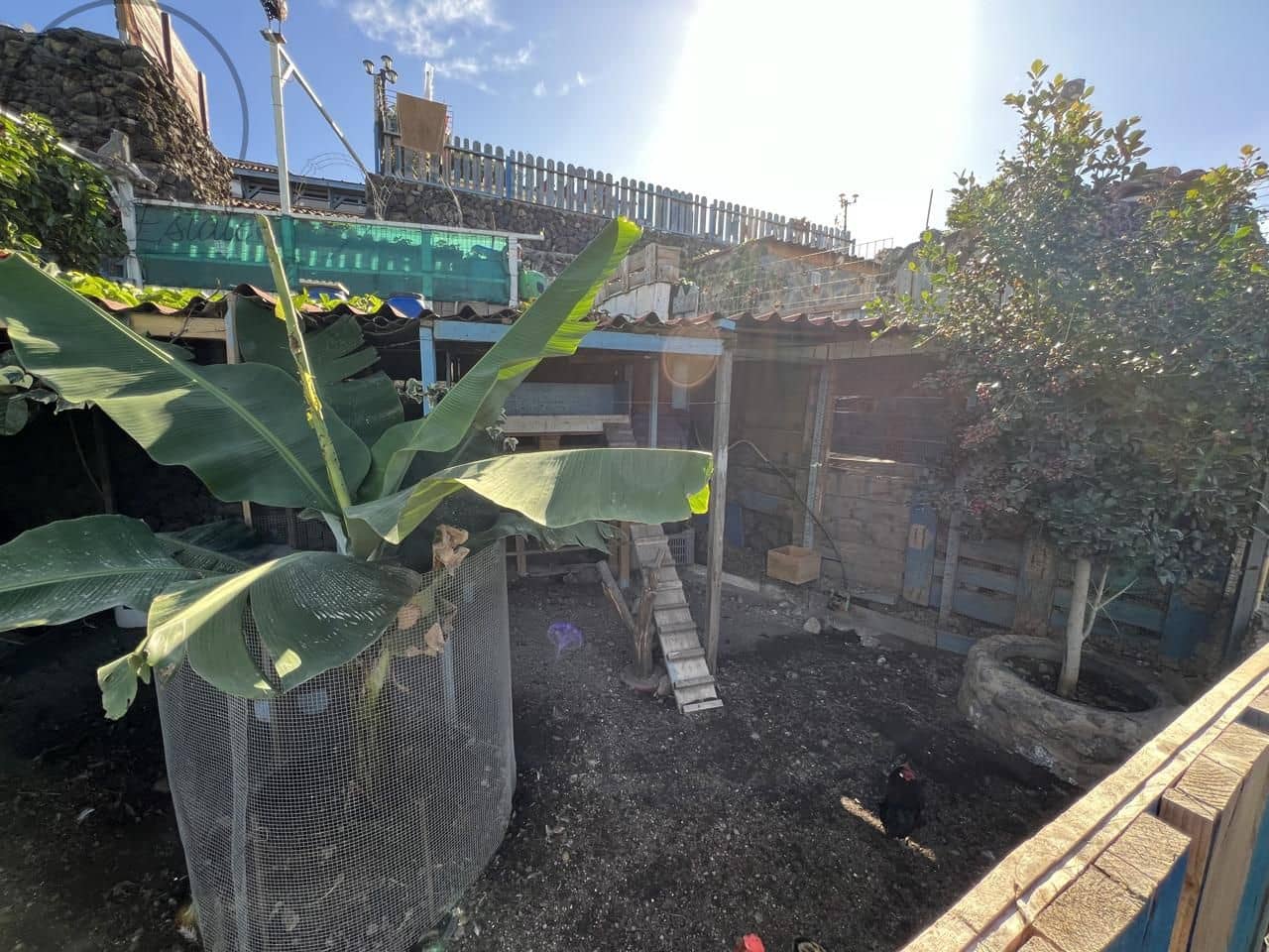 3 Zimmer Finca/Landgut zu verkaufen in Garachico mit Garage - 350.000 € (Ref: 9741367)