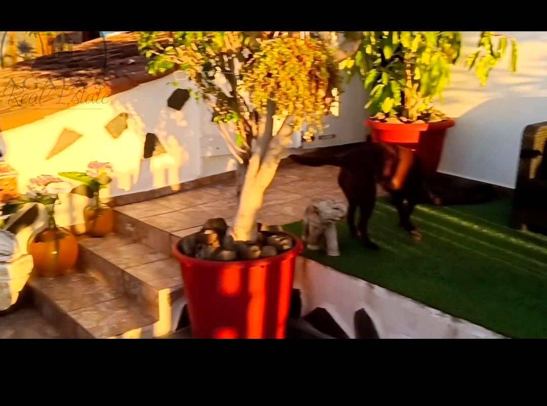 3 Zimmer Finca/Landgut zu verkaufen in Garachico mit Garage - 350.000 € (Ref: 9741367)