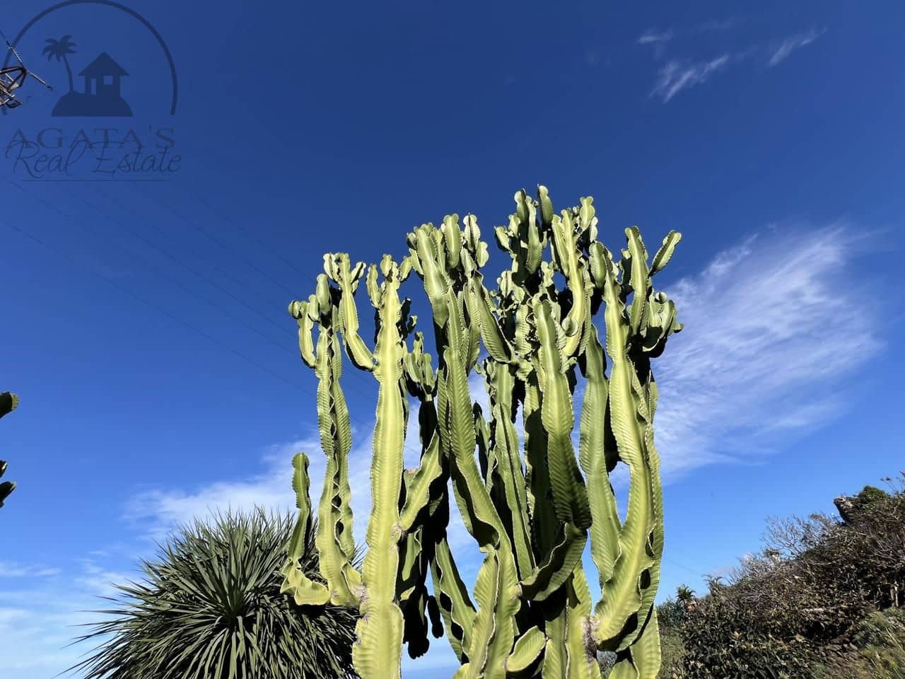 3 Zimmer Finca/Landgut zu verkaufen in Garachico mit Garage - 350.000 € (Ref: 9741367)