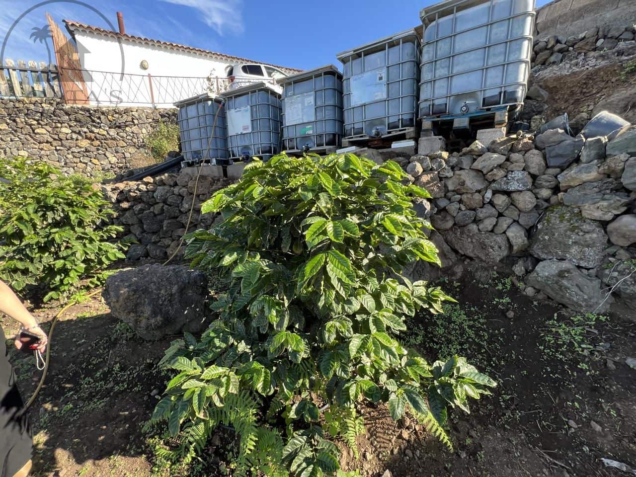 3 Zimmer Finca/Landgut zu verkaufen in Garachico mit Garage - 350.000 € (Ref: 9741367)