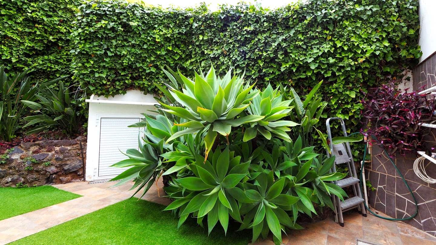 2 sypialnia Mieszkanie na sprzedaż w Puerto de la Cruz - 219 000 € (Ref: 9753722)