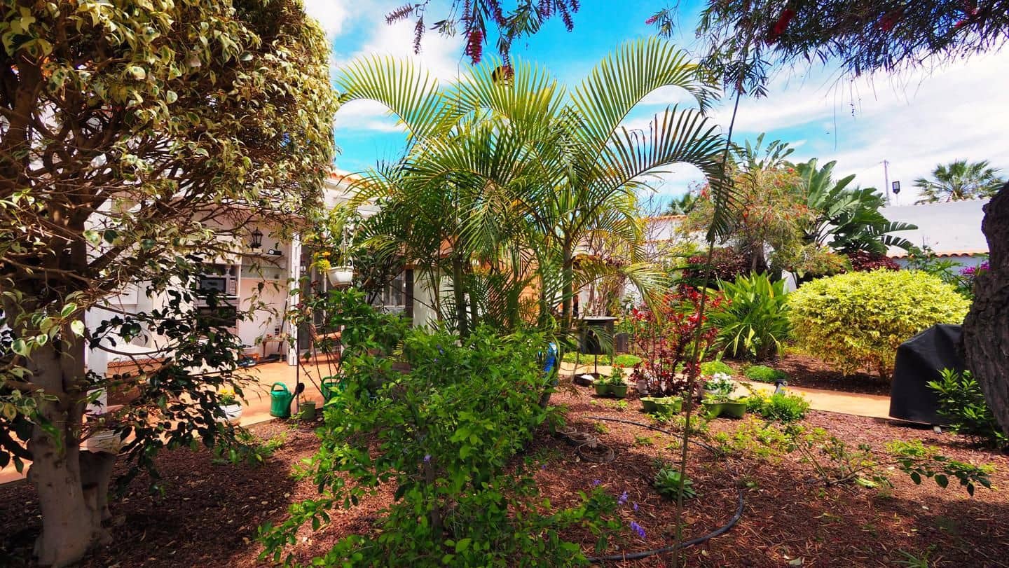 1 soveværelse Villa til salg i Icod de los Vinos - € 475.000 (Ref: 9805637)