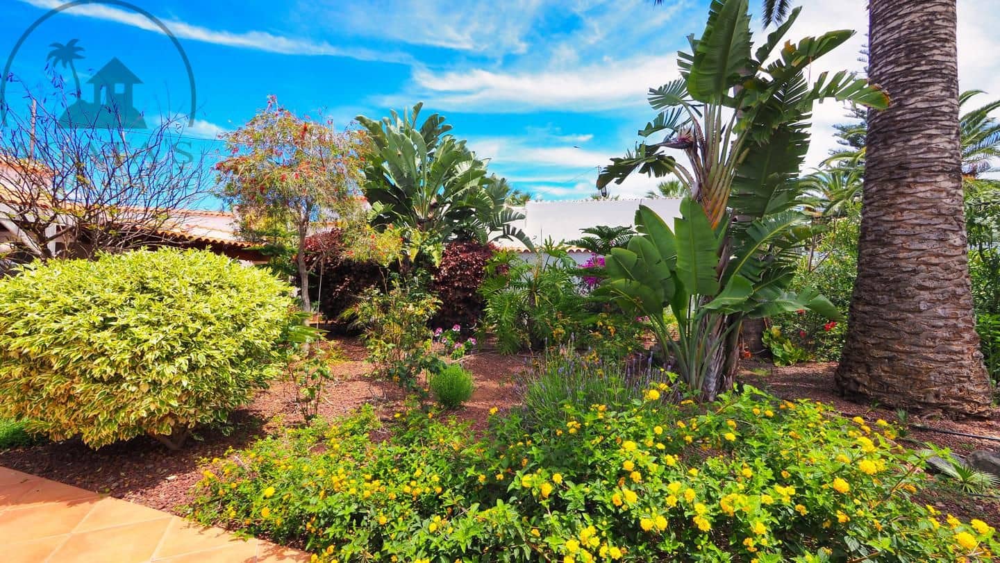 1 soveværelse Villa til salg i Icod de los Vinos - € 475.000 (Ref: 9805637)