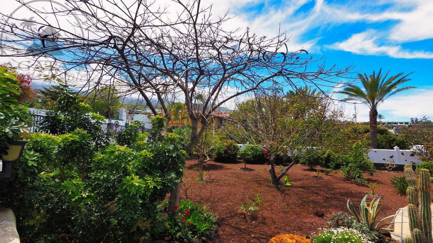 1 soveværelse Villa til salg i Icod de los Vinos - € 475.000 (Ref: 9805637)