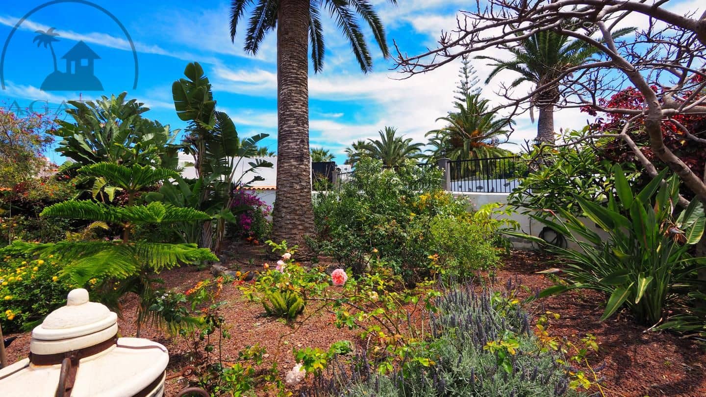 1 soveværelse Villa til salg i Icod de los Vinos - € 475.000 (Ref: 9805637)