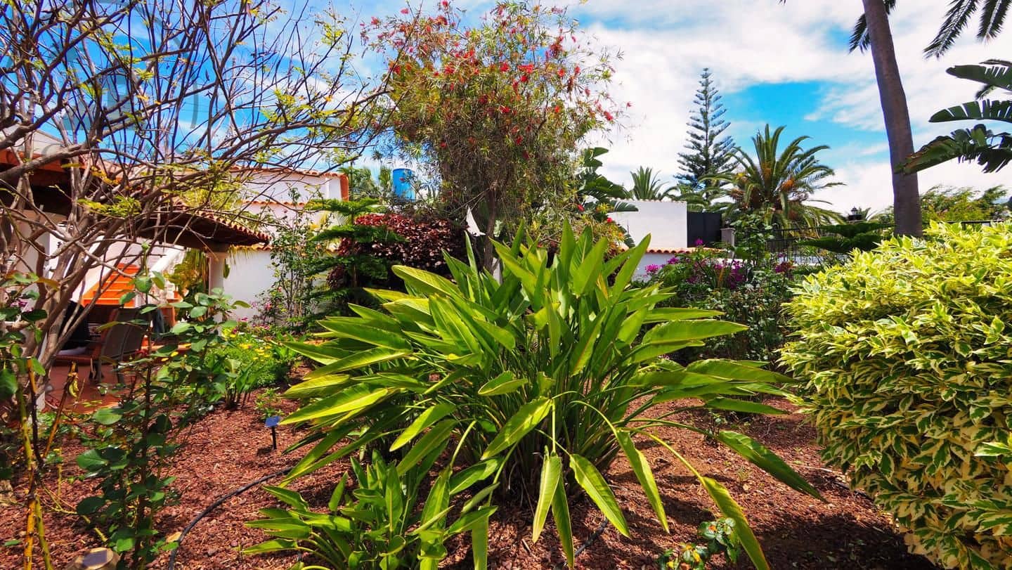 1 soveværelse Villa til salg i Icod de los Vinos - € 475.000 (Ref: 9805637)