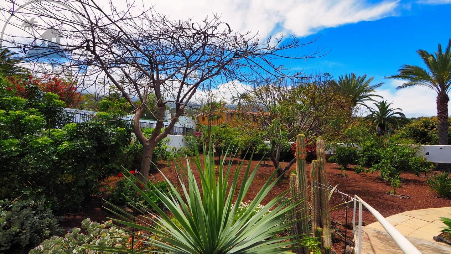 1 soveværelse Villa til salg i Icod de los Vinos - € 475.000 (Ref: 9805637)