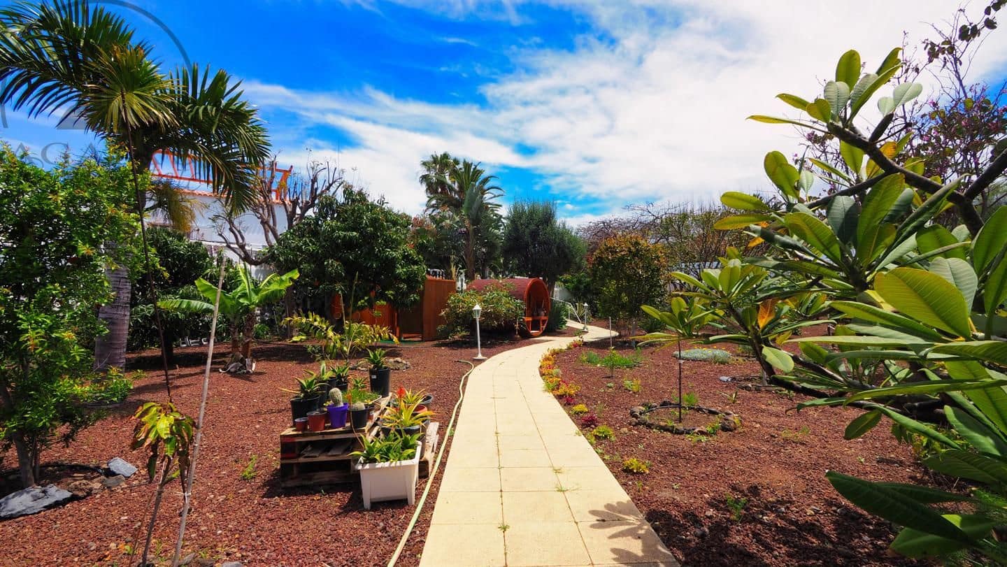 1 bedroom Villa for sale in Icod de los Vinos - € 475,000 (Ref: 9805637)