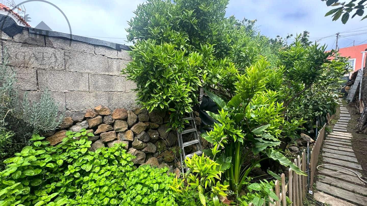 4 chambre Finca/Maison de Campagne à vendre à Icod de los Vinos avec garage - 295 000 € (Ref: 9880459)