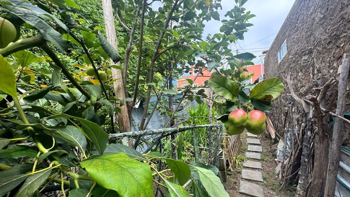 4 chambre Finca/Maison de Campagne à vendre à Icod de los Vinos avec garage - 295 000 € (Ref: 9880459)