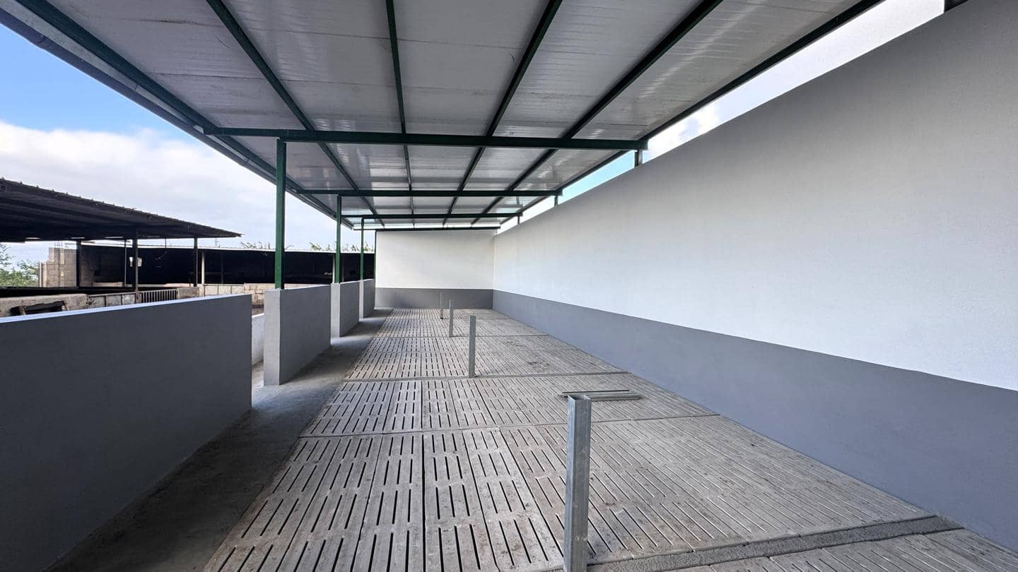 1 chambre Local Commercial à vendre à Buenavista del Norte - 2 200 000 € (Ref: 9961831)