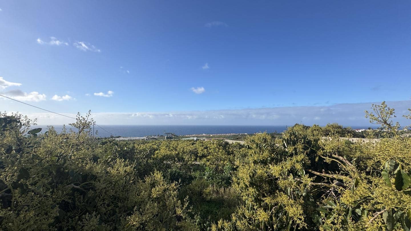 1 chambre Local Commercial à vendre à Buenavista del Norte - 2 200 000 € (Ref: 9961831)