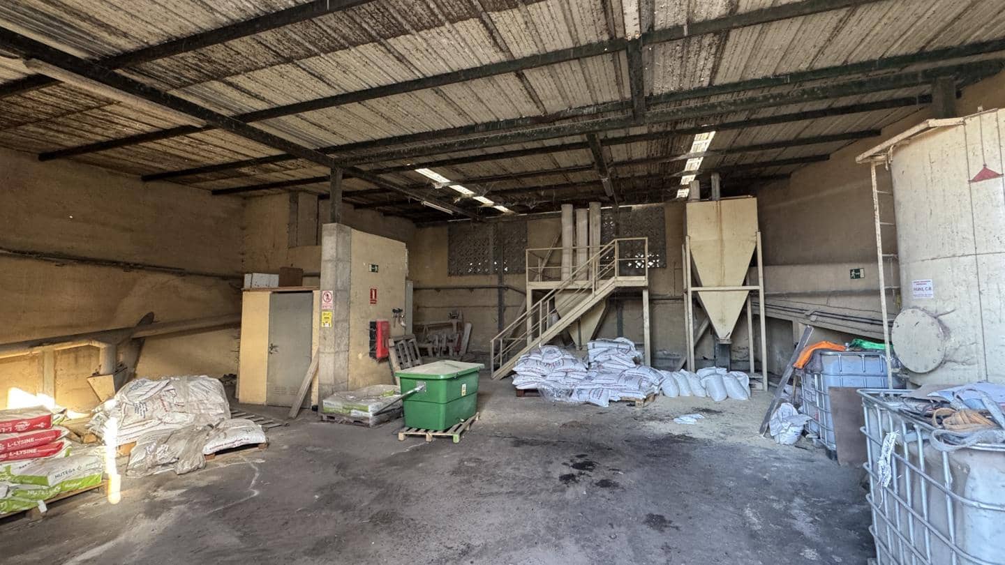 1 chambre Local Commercial à vendre à Buenavista del Norte - 2 200 000 € (Ref: 9961831)