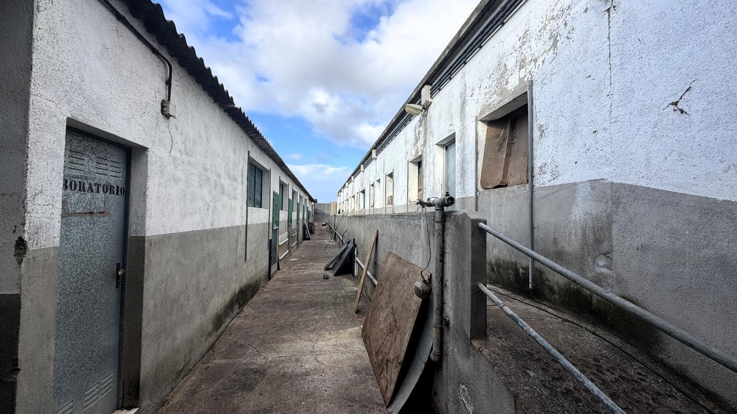 1 chambre Local Commercial à vendre à Buenavista del Norte - 2 200 000 € (Ref: 9961831)