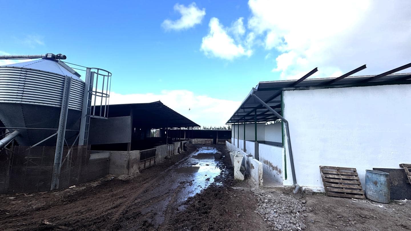 1 chambre Local Commercial à vendre à Buenavista del Norte - 2 200 000 € (Ref: 9961831)