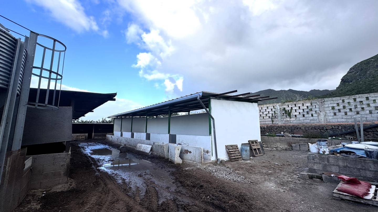 1 chambre Local Commercial à vendre à Buenavista del Norte - 2 200 000 € (Ref: 9961831)
