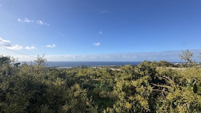 1 slaapkamer Commercieel te koop in Buenavista del Norte - € 2.200.000 (Ref: 9961831)