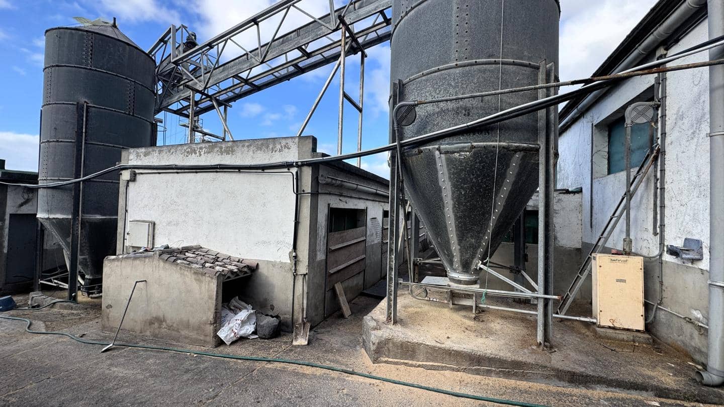 1 chambre Local Commercial à vendre à Buenavista del Norte - 2 200 000 € (Ref: 9961831)