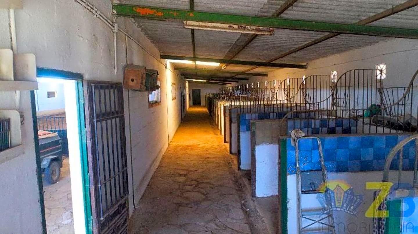 Erhverv til leje i Alhaurin de la Torre - € 6.000 (Ref: 8022231)