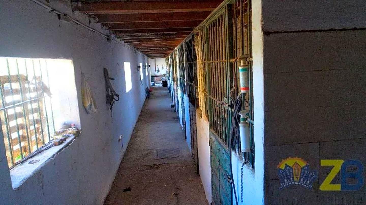 Erhverv til leje i Alhaurin de la Torre - € 6.000 (Ref: 8022231)