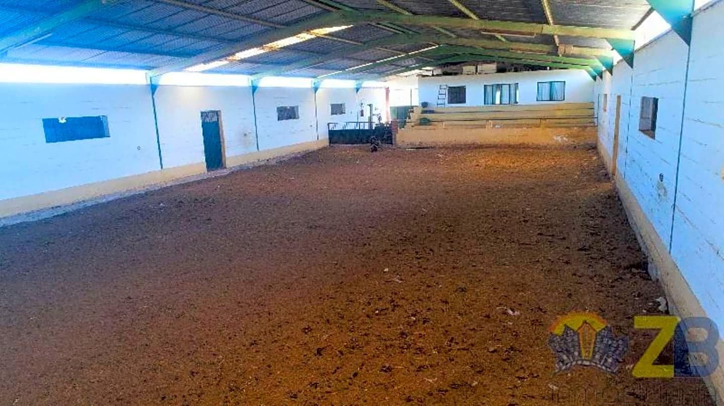 Erhverv til leje i Alhaurin de la Torre - € 6.000 (Ref: 8022231)