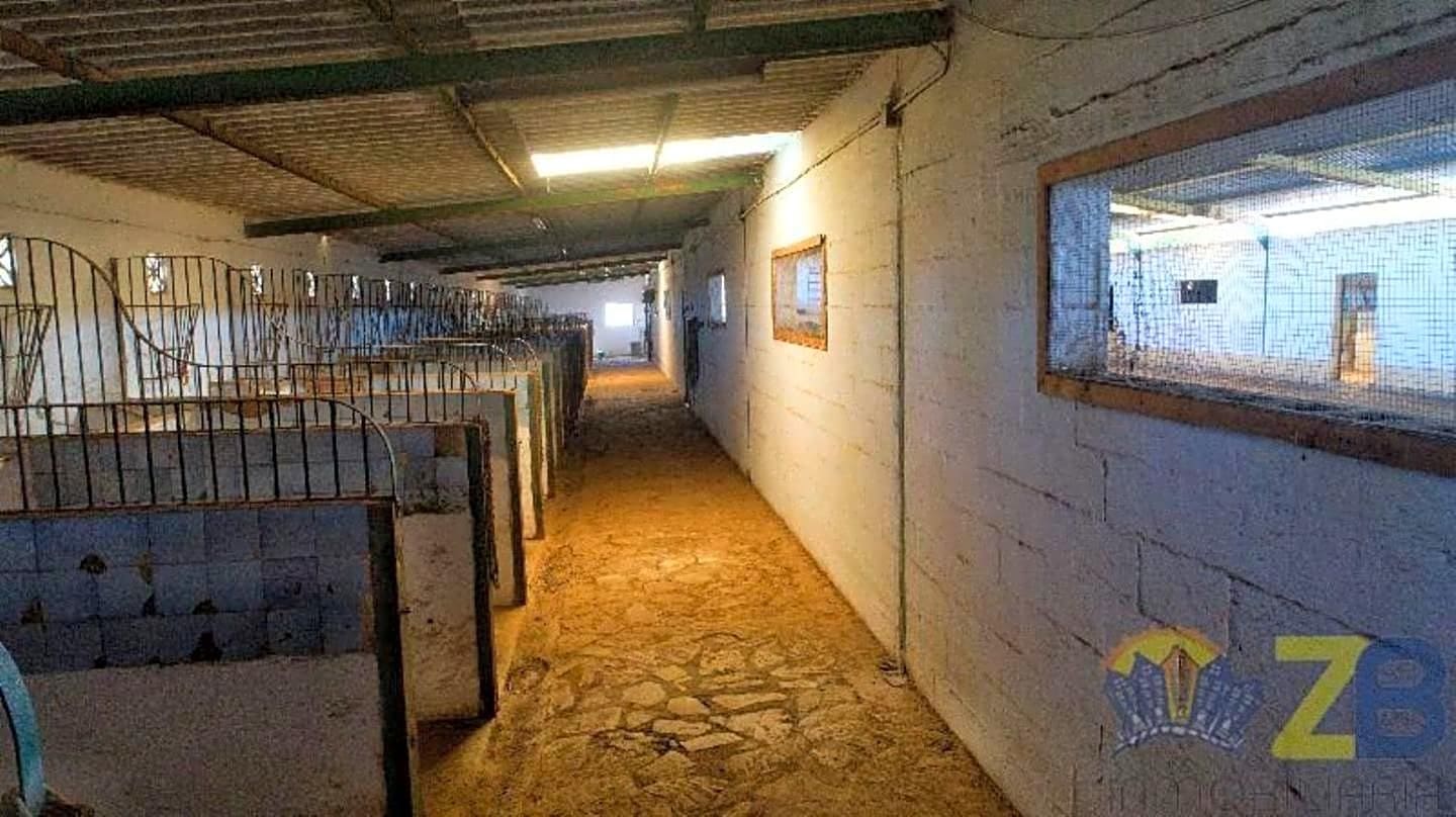 Erhverv til leje i Alhaurin de la Torre - € 6.000 (Ref: 8022231)