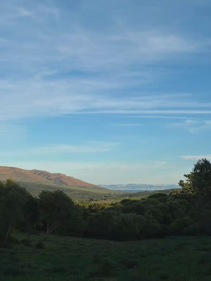 Finca/Country House for sale in Tarifa - € 1,099,271 (Ref: 10012644)