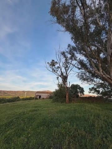 Finca/Country House for sale in Tarifa - € 1,099,271 (Ref: 10012644)