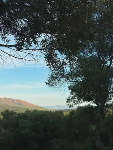 Finca/Country House for sale in Tarifa - € 1,099,271 (Ref: 10012644)