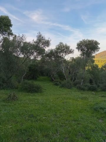 Finca/Country House for sale in Tarifa - € 1,099,271 (Ref: 10012644)