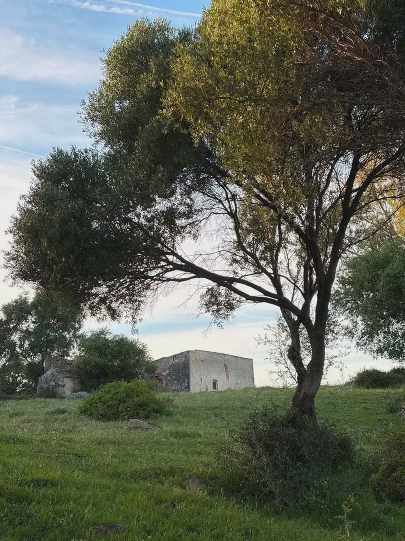 Finca/Country House for sale in Tarifa - € 1,099,271 (Ref: 10012644)