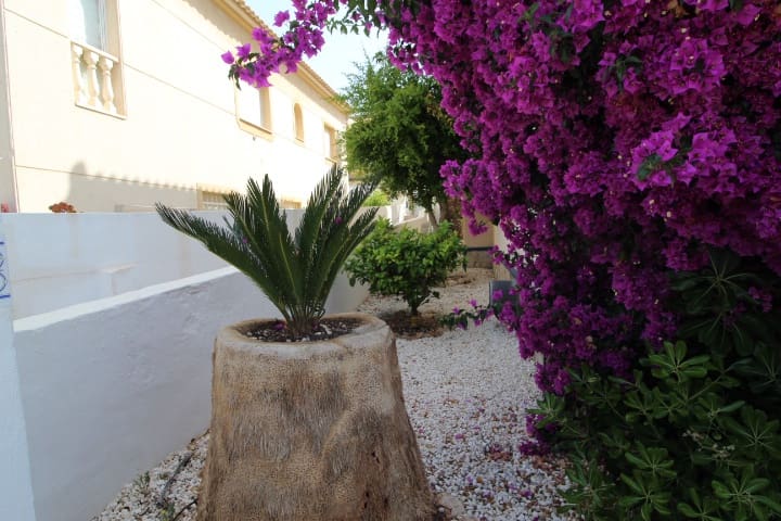 4 chambre Villa/Maison à vendre à San Miguel de Salinas - 285 000 € (Ref: 9042016)