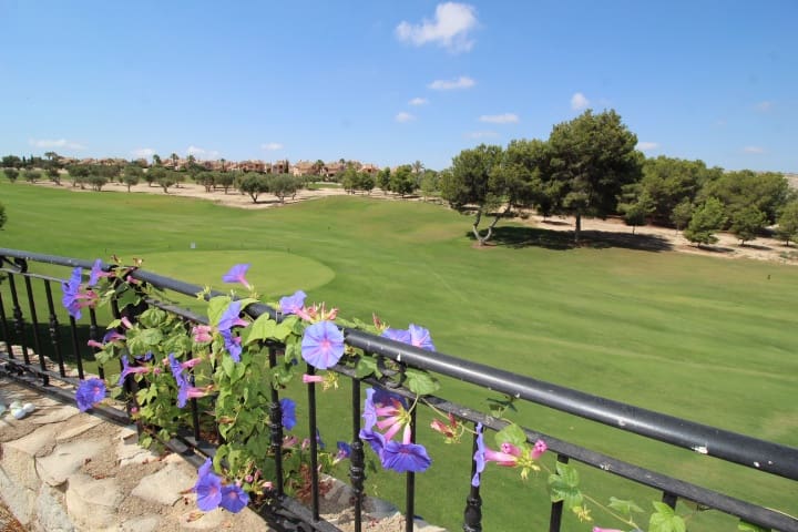 3 soveværelse Rækkehus til salg i Algorfa med swimmingpool - € 446.000 (Ref: 9129498)