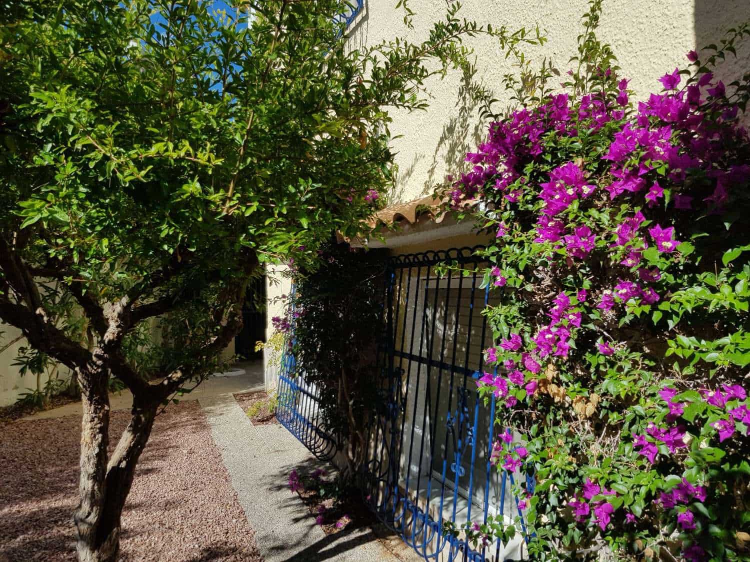 5 bedroom Villa for sale in San Miguel de Salinas with pool - € 459,000 (Ref: 9281095)