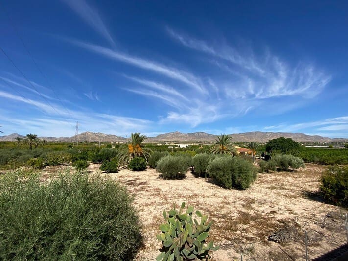 5 soveværelse Finca/Landehus til salg i Albatera med swimmingpool - € 399.950 (Ref: 9568064)