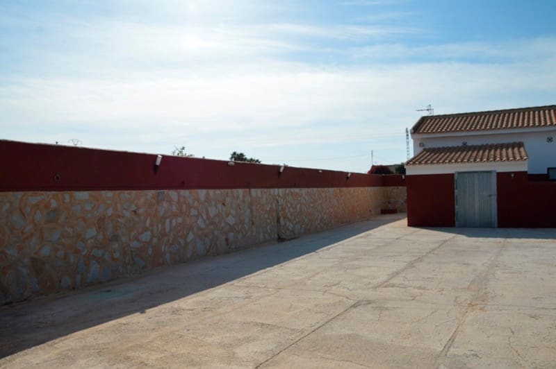 12 quarto Quinta/Casa Rural para venda em San Miguel de Salinas - 455 000 € (Ref: 9721148)