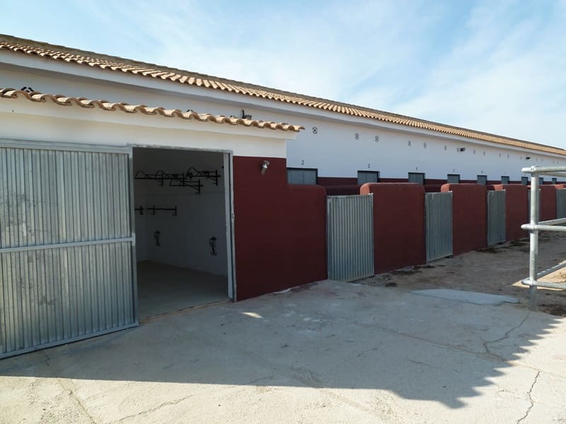 12 quarto Quinta/Casa Rural para venda em San Miguel de Salinas - 455 000 € (Ref: 9721148)