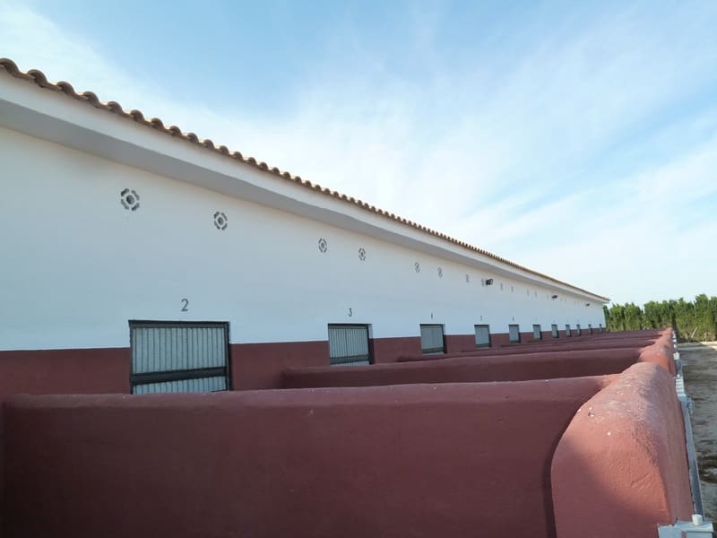 12 quarto Quinta/Casa Rural para venda em San Miguel de Salinas - 455 000 € (Ref: 9721148)