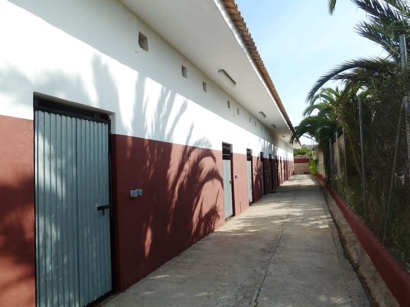 12 quarto Quinta/Casa Rural para venda em San Miguel de Salinas - 455 000 € (Ref: 9721148)